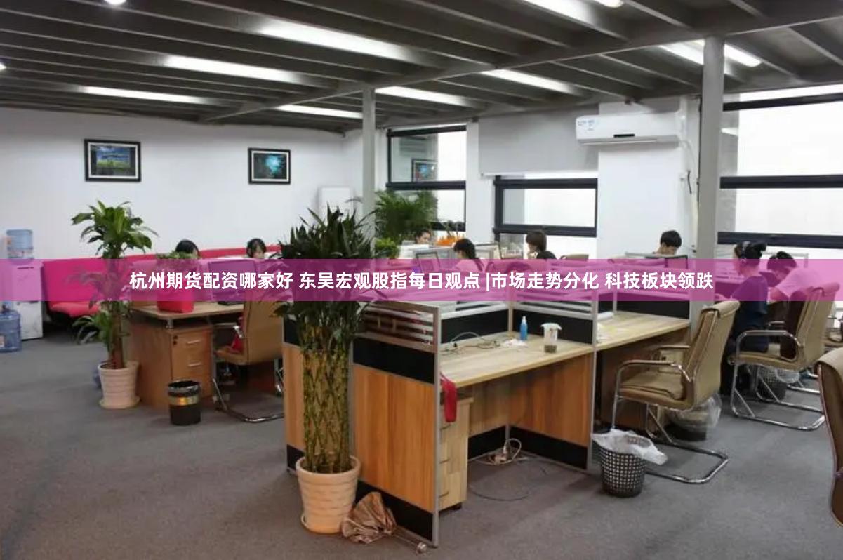 杭州期货配资哪家好 东吴宏观股指每日观点 |市场走势分化 科技板块领跌