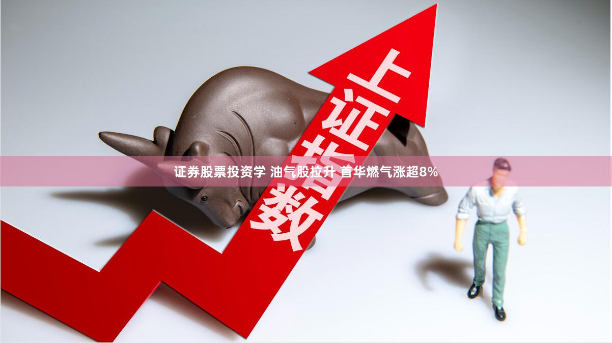 证券股票投资学 油气股拉升 首华燃气涨超8%