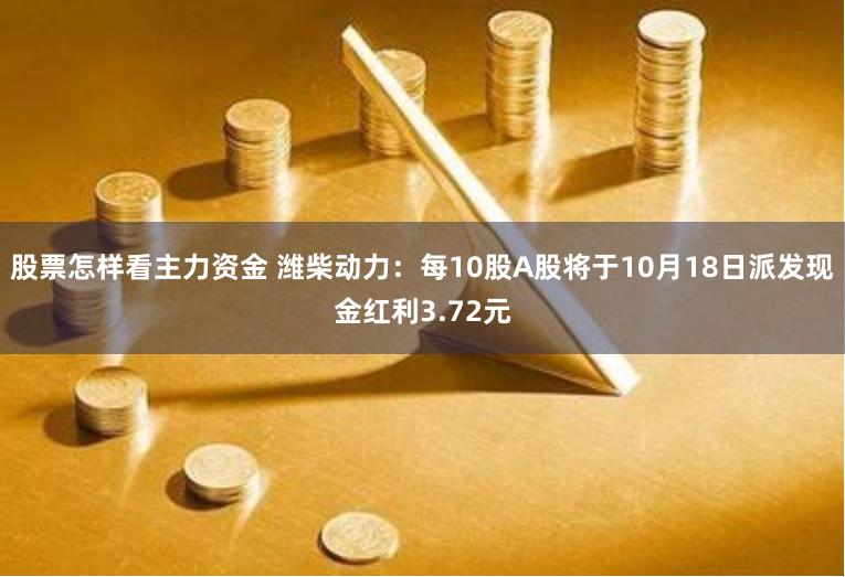 股票怎样看主力资金 潍柴动力：每10股A股将于10月18日派发现金红利3.72元