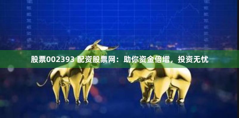 股票002393 配资股票网：助你资金倍增，投资无忧