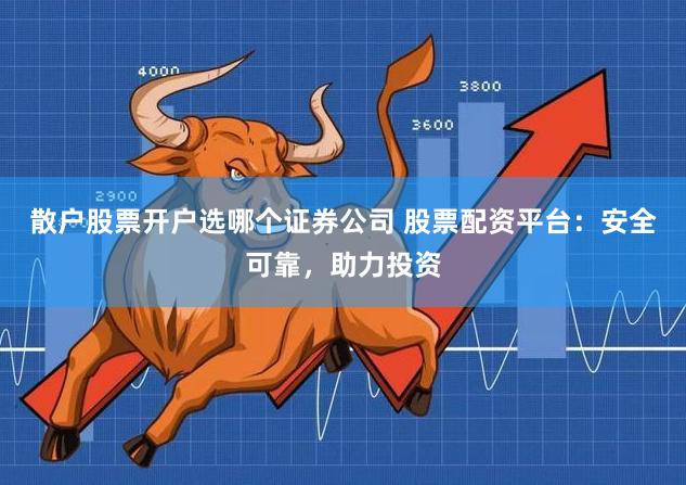 散户股票开户选哪个证券公司 股票配资平台：安全可靠，助力投资