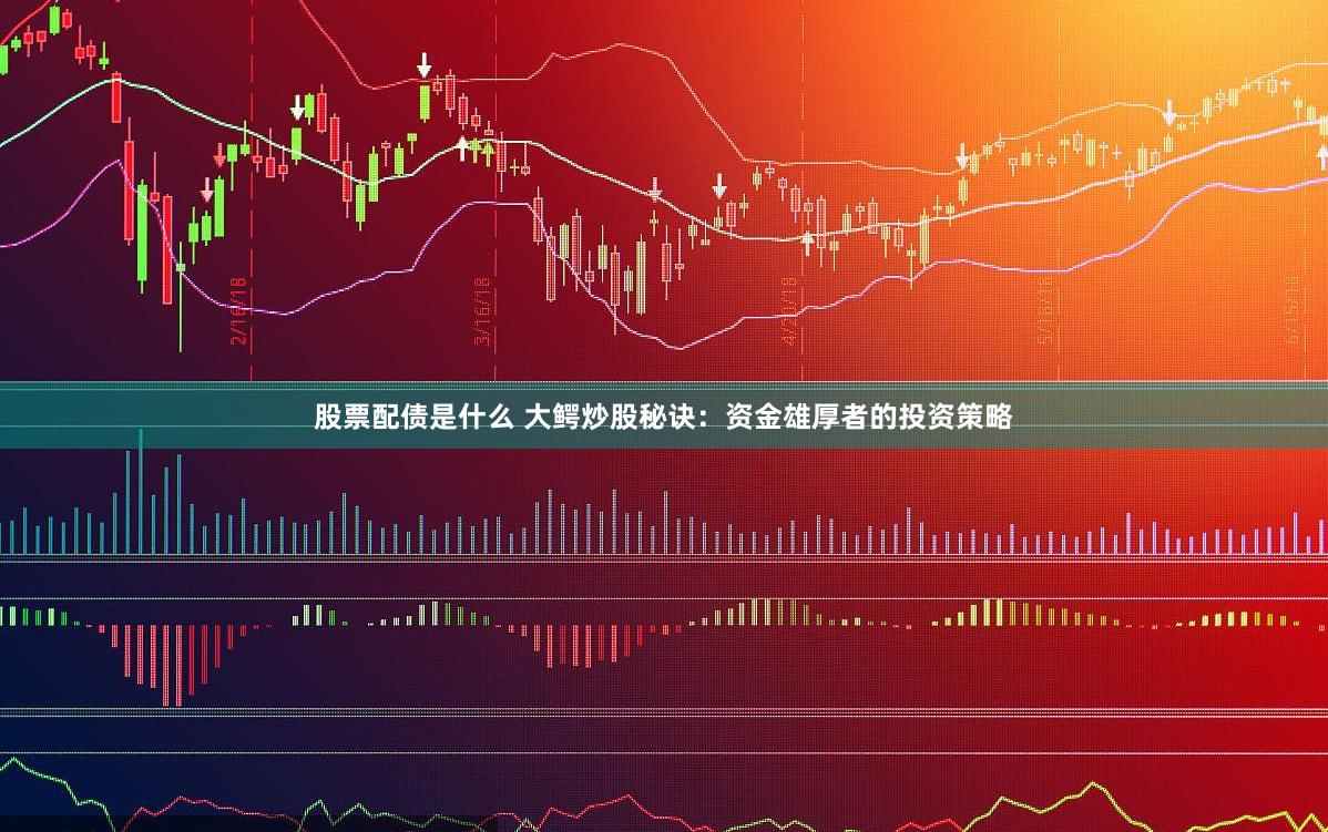 股票配债是什么 大鳄炒股秘诀：资金雄厚者的投资策略