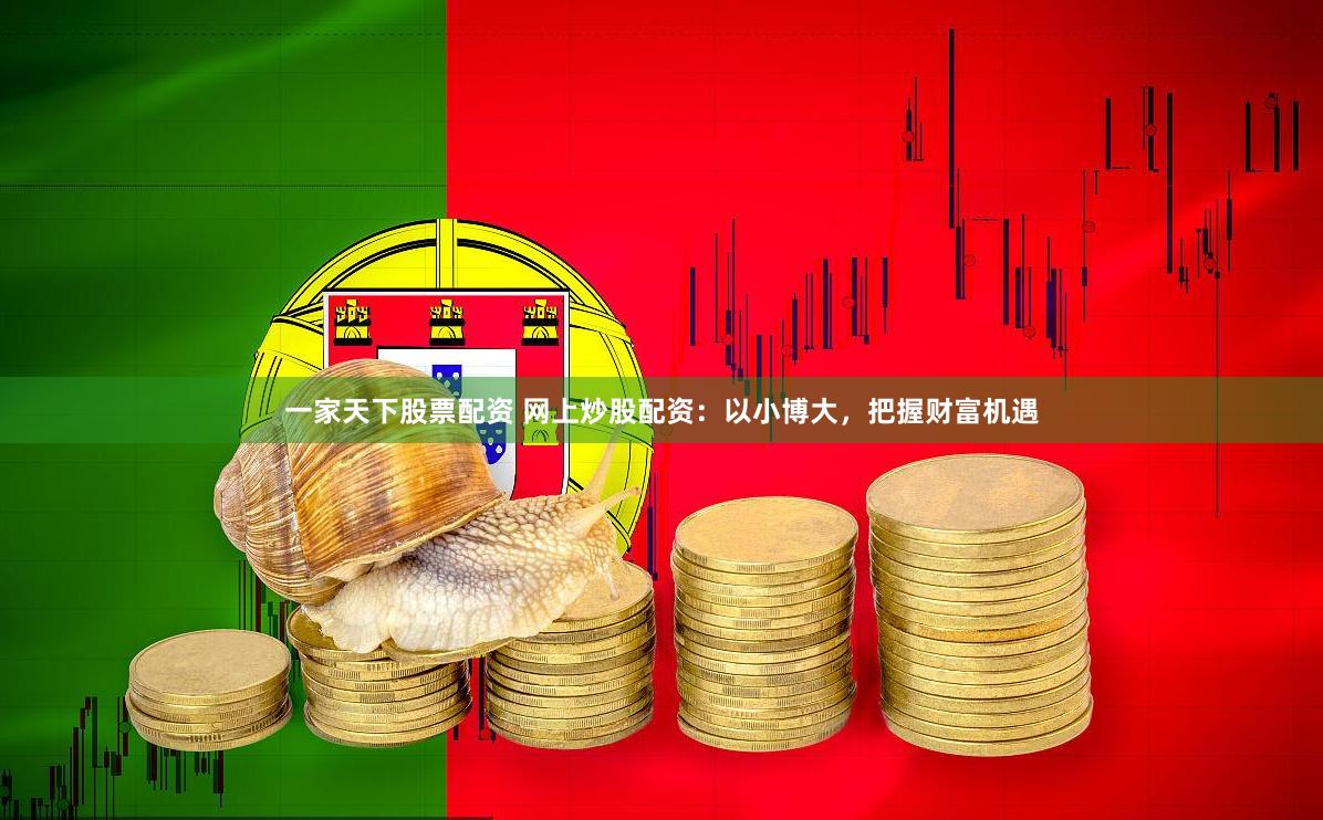 一家天下股票配资 网上炒股配资：以小博大，把握财富机遇